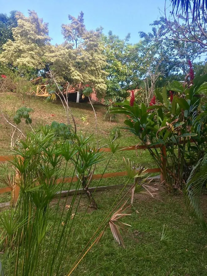 Hotel Little House On The Hill Castara 0*,  Trinidad a Tobago