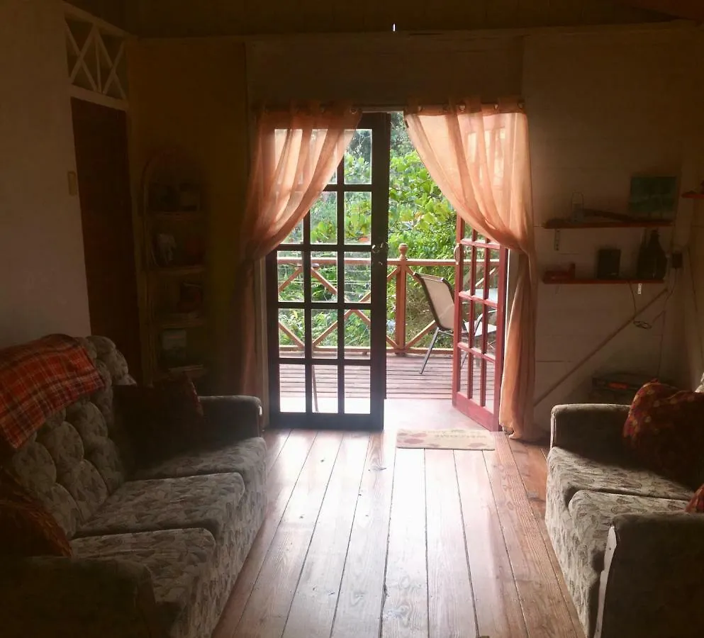Affittacamere Little House On The Hill Hotel Castara Trinidad e Tobago